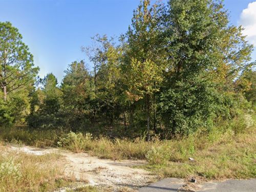 A Simple Start to Land Ownership : Interlachen : Putnam County : Florida