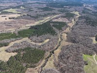 M Bar 1675 Choctaw Co, AL : Gilbertown : Choctaw County : Alabama