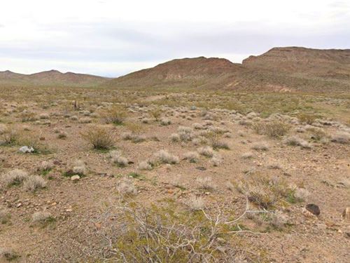 Start Your Arizona Land Ownership : Dolan Springs : Mohave County : Arizona