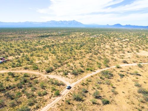 Ride Into The Desert : Tucson : Pima County : Arizona