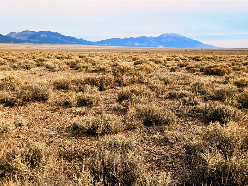 Build Camp Live, Nevada Ranchland : Montello : Elko County : Nevada