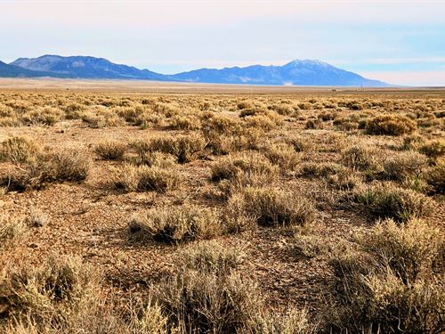 Build Camp Live, Nevada Ranchland : Montello : Elko County : Nevada