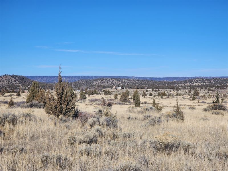 California Pines Land : Alturas : Modoc County : California