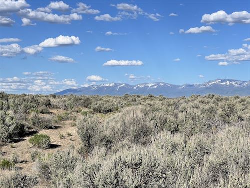 Prime Elko Land Near I-80 : Elko : Nevada