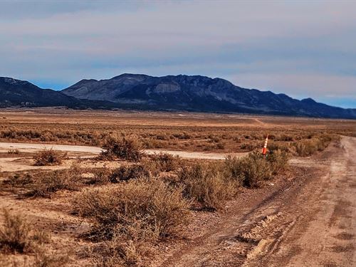 Nevada Land Freedom : Montello : Elko County : Nevada