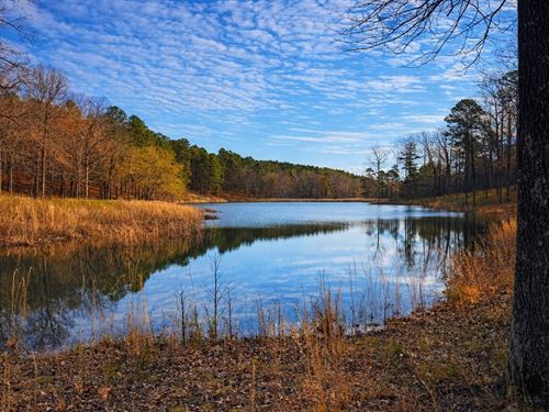 Bourbon Hollow : Bigelow : Pulaski County : Arkansas