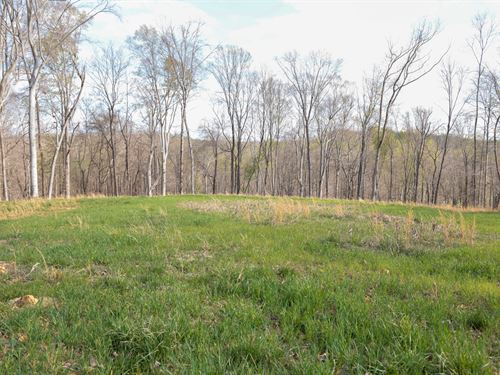 Bell Hollow : Vanleer : Dickson County : Tennessee