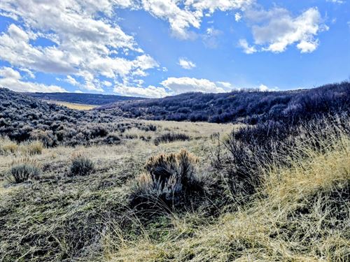 Lorenz Ranch : Hayden : Routt County : Colorado