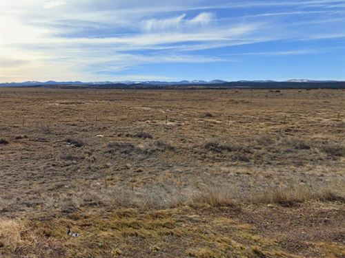Affordable, No HOA, $1 Down : Concho : Apache County : Arizona