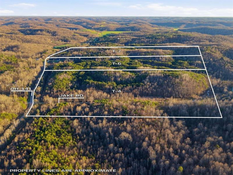St Rt 141 Parcel 7, 32 Acres : Patriot : Gallia County : Ohio