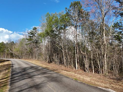 Tract 5 Muscadine Acres : Muscadine : Cleburne County : Alabama
