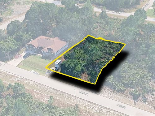 Prime FL Lot Near Fort Myers : Lehigh Acres : Lee County : Florida