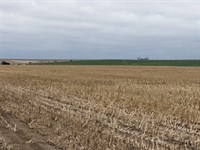 Thomas County Cropland, 2017K : Levant : Thomas County : Kansas