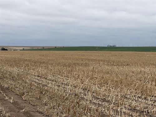 Thomas County Cropland, 2017K : Levant : Thomas County : Kansas