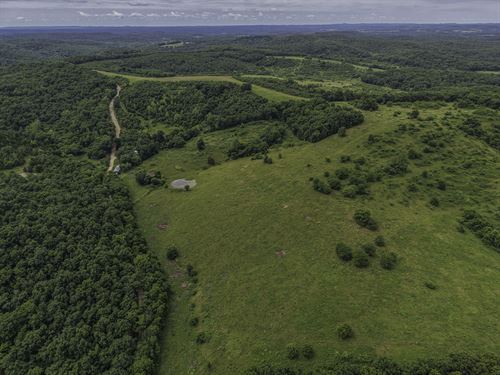 Land for Farming and Hunting in MO : Norwood : Wright County : Missouri