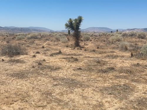 Affordable Rosamond Land : Rosamond : Kern County : California