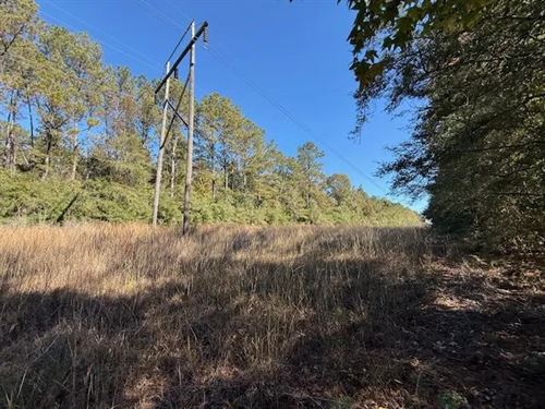 17.41 Acres on Hammond Sylvest Road : Franklinton : Washington Parish : Louisiana
