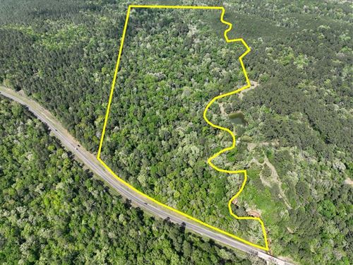 54 Acres, FM 2665, Aa6469 : Goodrich : Polk County : Texas