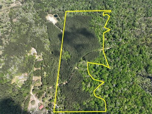 47 Acres, County Road 4525, Sn651 : Warren : Tyler County : Texas