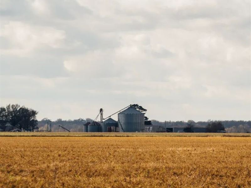 896.81 Acre Farm with a Home in Mon : Holly Grove : Monroe County : Arkansas
