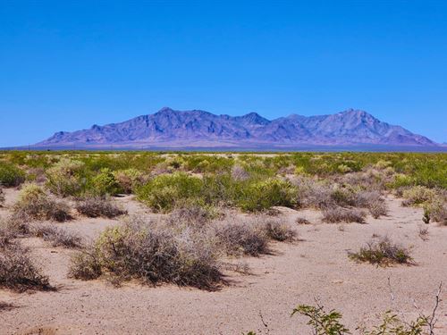 10.5 Ac Luna NM Priced for Position : Deming : Luna County : New Mexico