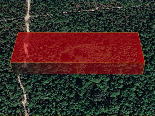 Rv-Ready Getaway + Farm Potential : Malabar : Brevard County : Florida