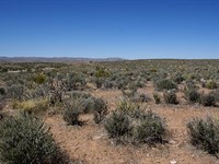Invest in Arizona Growth : Lake Havasu City : Mohave County : Arizona
