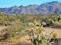 Peaceful 1.03 Acre Lot Near Kingman : Yucca : Mohave County : Arizona