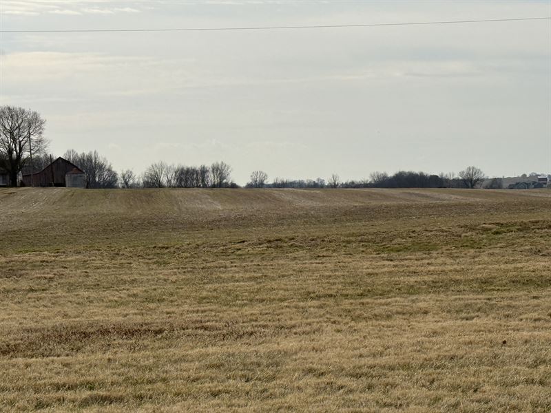 Franklin Kentucky Land Auction : Franklin : Simpson County : Kentucky