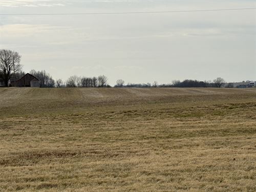 Franklin Kentucky Land Auction : Franklin : Simpson County : Kentucky