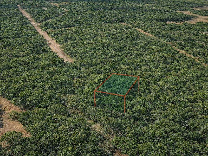 .27 Acre in Hempstead, $300/Mo : Hempstead : Waller County : Texas