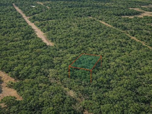 .27 Acre in Hempstead, $300/Mo : Hempstead : Waller County : Texas