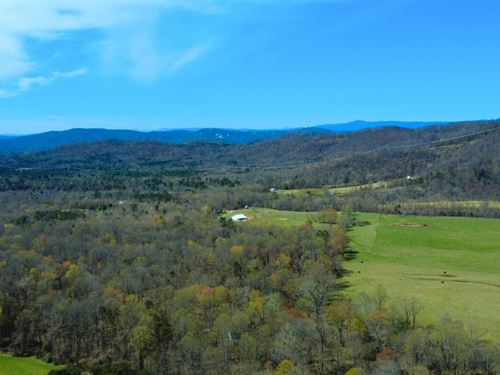 Your Private NC Mountain Acre : Traphill : Wilkes County : North Carolina