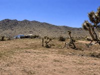 Arizona Land, Camp or Build : Dolan Springs : Mohave County : Arizona