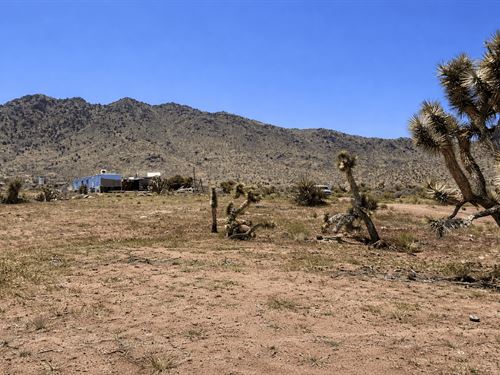 Arizona Land, Camp or Build : Dolan Springs : Mohave County : Arizona