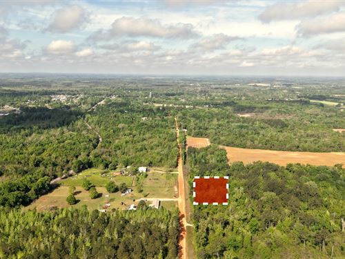Quiet Country Living : Cottondale : Jackson County : Florida