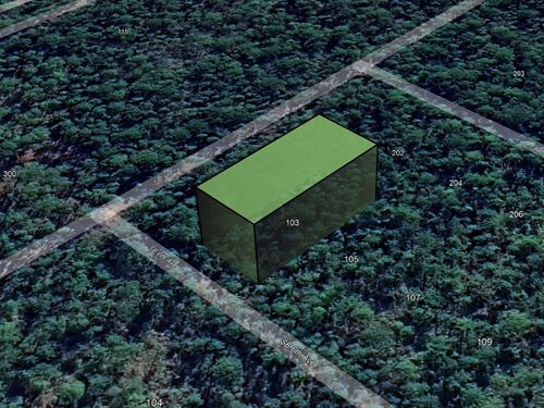 $199 Down, Zero Stress Land Deal : Federal Point : Putnam County : Florida