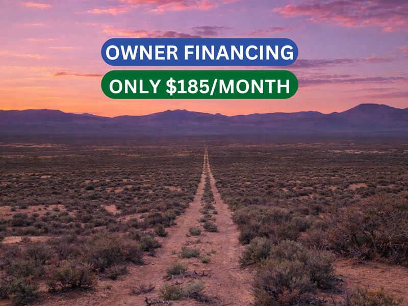 Wide-Open Space in Osino, NV : Osino : Elko County : Nevada
