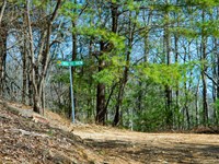 1.37 Acres, Ashe County NC : Oval : Ashe County : North Carolina