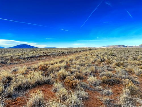 Your Flat 5 Acres for Adventure : San Luis : Costilla County : Colorado