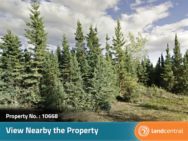 3.64 Acre Escape From The City : Alaska : Southeast Fairbanks Borough : Alaska