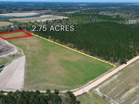 2.75 Acre, Tract 1, 112 Seahorse : Alma : Bacon County : Georgia