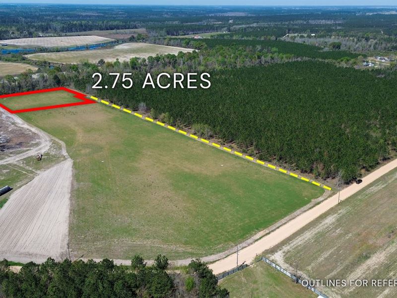 2.75 Acre, Tract 1, 112 Seahorse : Alma : Bacon County : Georgia