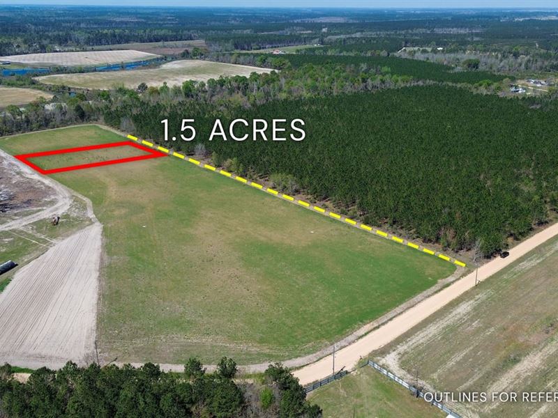 1.50 Acre, Tract 2, 112 Seahorse : Alma : Bacon County : Georgia