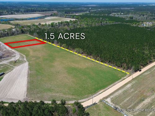 1.50 Acre, Tract 2, 112 Seahorse : Alma : Bacon County : Georgia