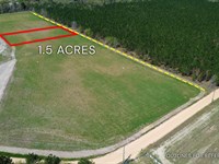 1.50 Acre, Tract 3, 112 Seahorse : Alma : Bacon County : Georgia