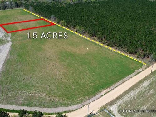 1.50 Acre, Tract 3, 112 Seahorse : Alma : Bacon County : Georgia