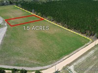 1.50 Acre, Tract 4, 112 Seahorse : Alma : Bacon County : Georgia