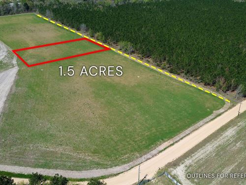 1.50 Acre, Tract 4, 112 Seahorse : Alma : Bacon County : Georgia