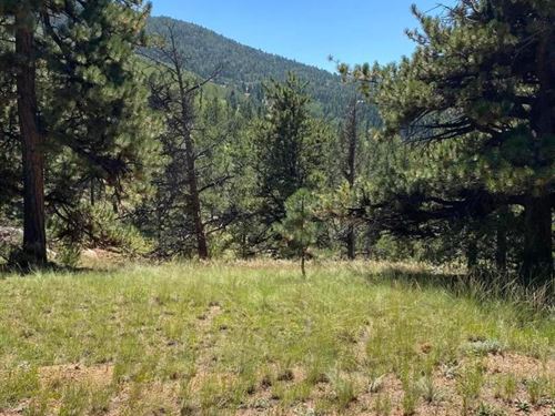 452 Wilson, Cripple Creek, CO 80813 : Cripple Creek : Teller County : Colorado